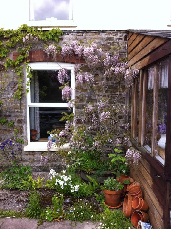 Vine Cottage Penpillick Εξωτερικό φωτογραφία