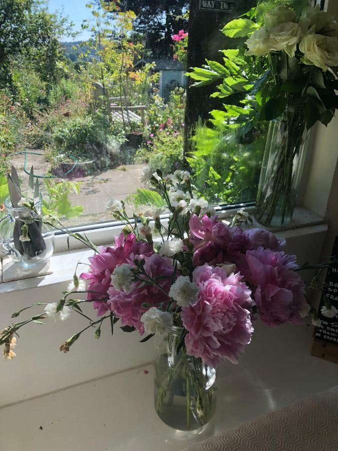 Vine Cottage Penpillick Εξωτερικό φωτογραφία