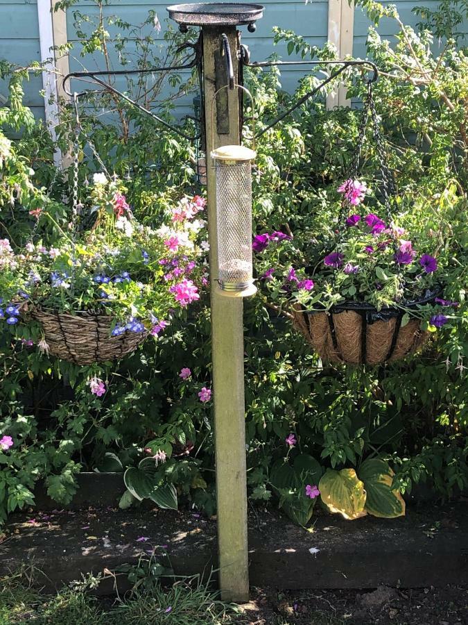 Vine Cottage Penpillick Εξωτερικό φωτογραφία